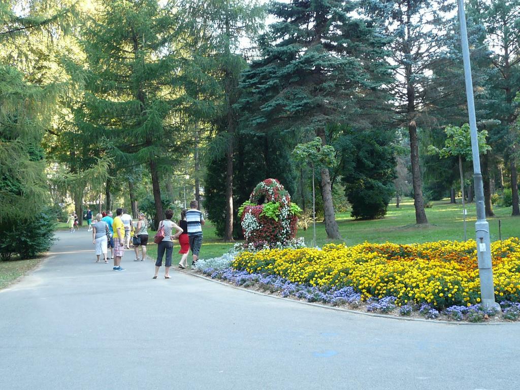 Villa Asturia Rymanów-Zdrój Eksteriør billede